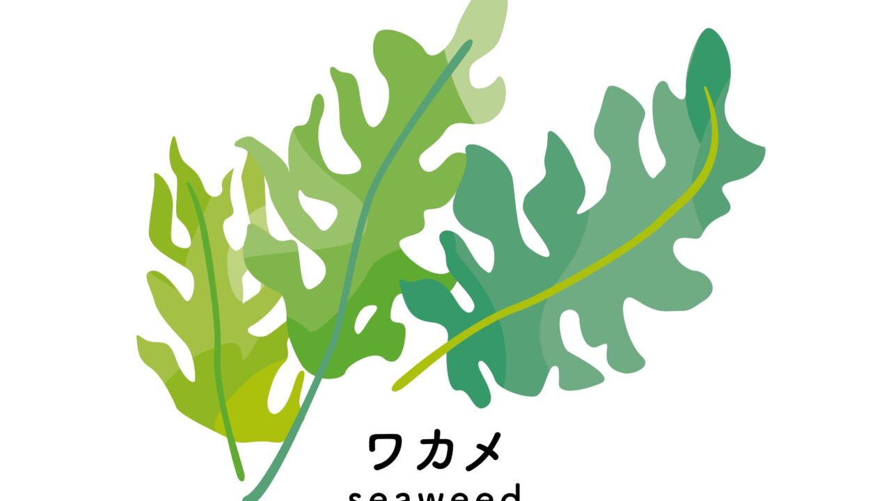 わかめのイラスト